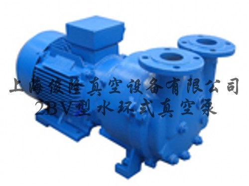 2BV系列水環(huán)式真空泵